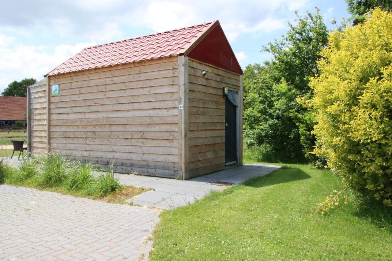 Tiny Cottage Op Camping "De Stal" Drijber Eksteriør bilde